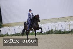 25R13_01607 thumbnail