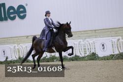 25R13_01608 thumbnail
