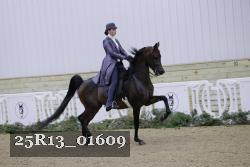 25R13_01609 thumbnail
