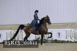 25R13_01611 thumbnail