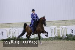 25R13_01613 thumbnail