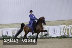 25R13_01614 thumbnail