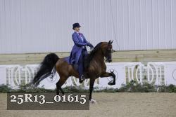25R13_01615 thumbnail