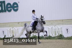25R13_01616 thumbnail