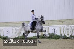 25R13_01617 thumbnail
