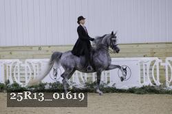 25R13_01619 thumbnail