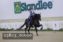 25R13_01620 thumbnail
