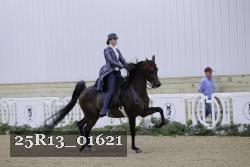 25R13_01621 thumbnail