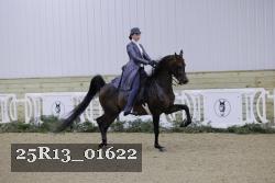 25R13_01622 thumbnail