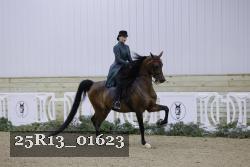 25R13_01623 thumbnail