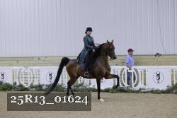 25R13_01624 thumbnail