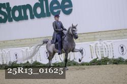 25R13_01625 thumbnail