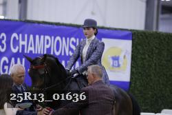 25R13_01636 thumbnail