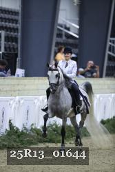 25R13_01644 thumbnail