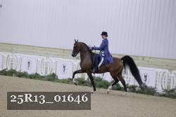 25R13_01646 thumbnail