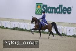 25R13_01647 thumbnail