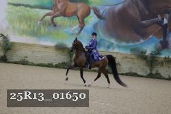 25R13_01650 thumbnail