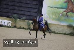 25R13_01651 thumbnail