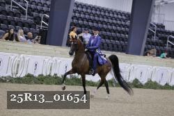 25R13_01654 thumbnail