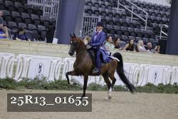 25R13_01655 thumbnail