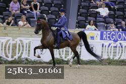 25R13_01661 thumbnail
