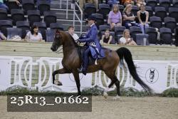 25R13_01662 thumbnail