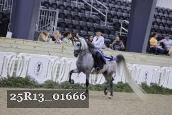 25R13_01666 thumbnail