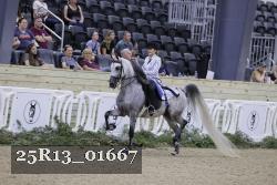 25R13_01667 thumbnail