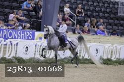 25R13_01668 thumbnail