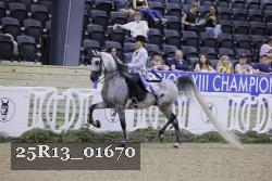25R13_01670 thumbnail