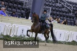 25R13_01671 thumbnail