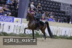 25R13_01672 thumbnail