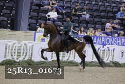25R13_01673 thumbnail