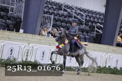 25R13_01676 thumbnail