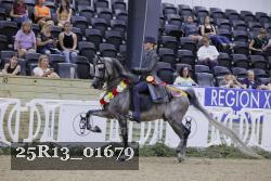 25R13_01679 thumbnail