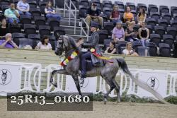 25R13_01680 thumbnail
