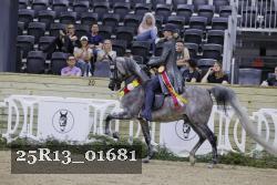25R13_01681 thumbnail