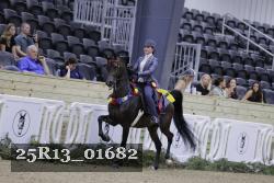 25R13_01682 thumbnail