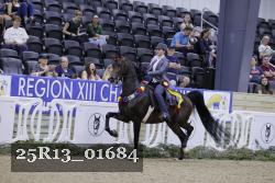 25R13_01684 thumbnail