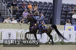 25R13_01685 thumbnail