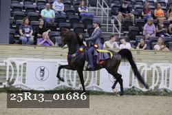 25R13_01686 thumbnail