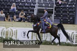 25R13_01687 thumbnail