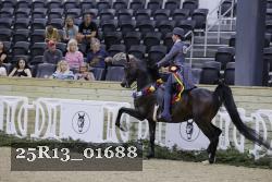 25R13_01688 thumbnail