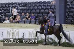25R13_01689 thumbnail