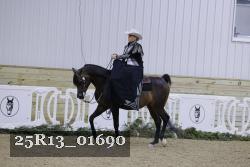 25R13_01690 thumbnail