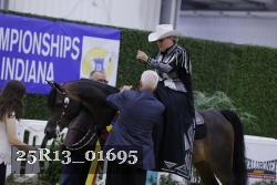 25R13_01695 thumbnail