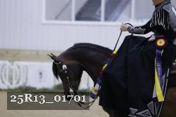 25R13_01701 thumbnail