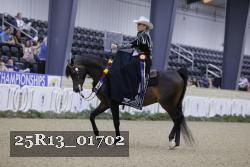 25R13_01702 thumbnail