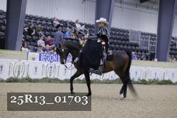 25R13_01703 thumbnail