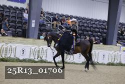 25R13_01706 thumbnail